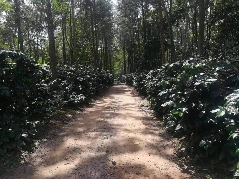Hotel Shwe Nann Htike Pyin Oo Lwin Esterno foto