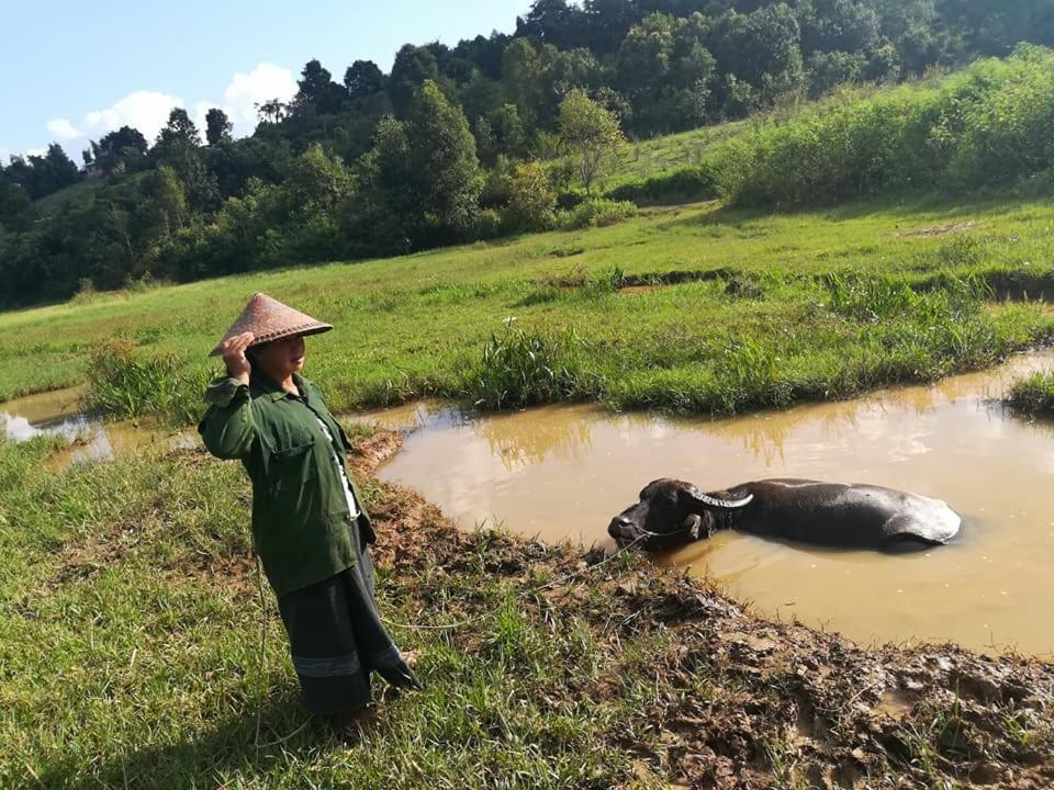 Hotel Shwe Nann Htike Pyin Oo Lwin Esterno foto