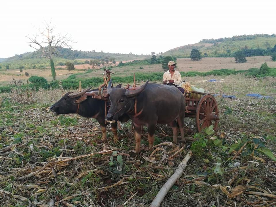 Hotel Shwe Nann Htike Pyin Oo Lwin Esterno foto